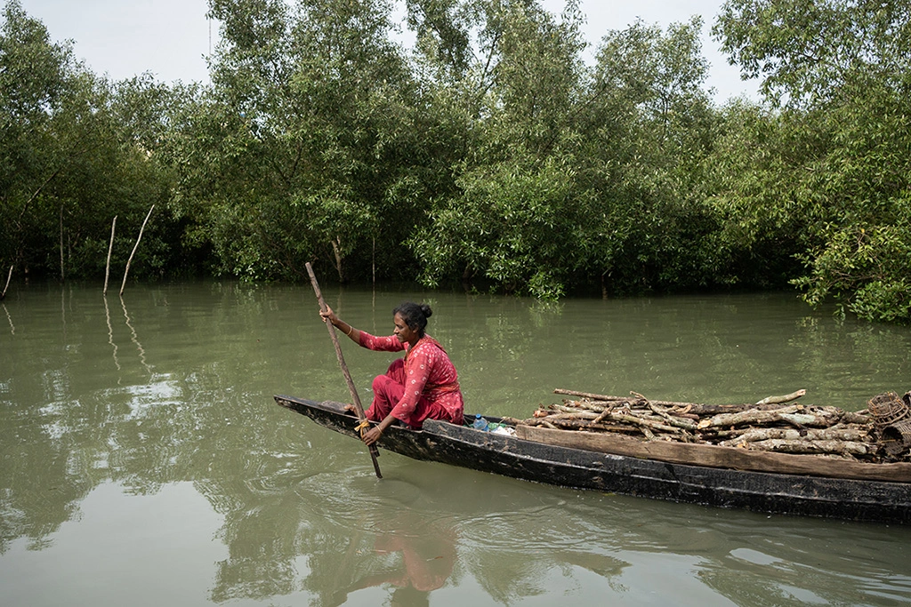  Buli Dasi navigates her boat through the mangrove waterways, returning from the Sundarbans forest. Despite the dangers and the loss of her husband to a tiger, she continues to enter the forest for survival, sustained by her faith in Bonobibi.