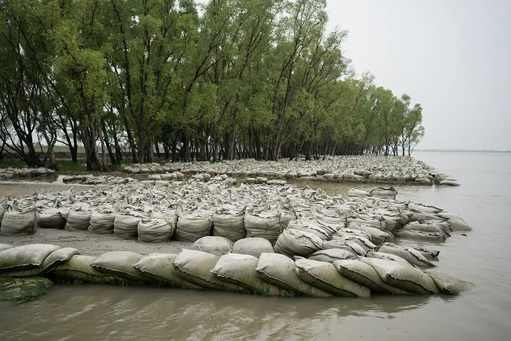 Sandbag embankments line an eroded shoreline in the Sundarbans, evidence of climate change's physical toll. As forests degrade and disasters make homes unlivable, migration scatters families and disrupts the transmission of cultural traditions.