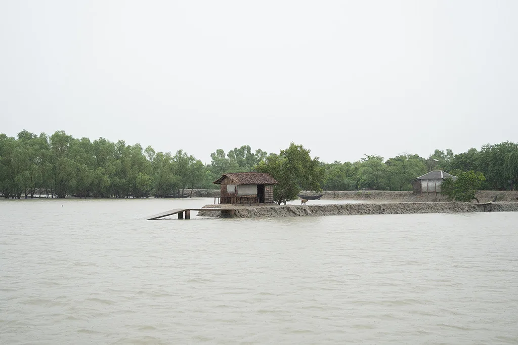 A modest dwelling surrounded by water in the Sundarbans, where cyclones and salinity have disrupted village life. Rising waters and storms have forced communities to abandon traditional livelihoods tied to the forest.